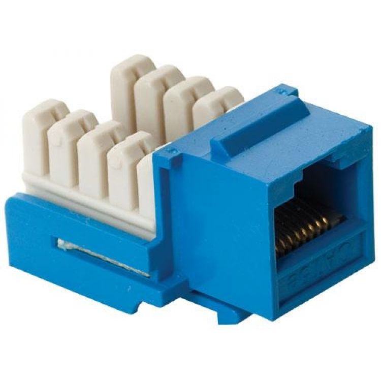 じーけー Jack RJ45 de 8 toma corrientes a 90° CAT 5e Azul | Cone