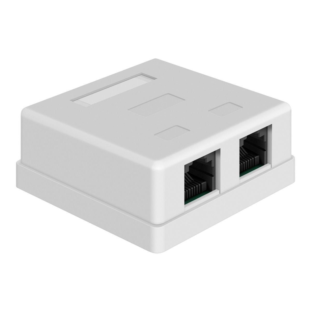 strettaちゃん Roseta doble RJ45 CAT 6 - Conexión A y B - Incluye Acce