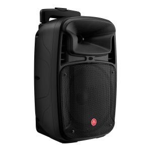 Bafle de 8" 1,100 WPMPO profesional Bluetooth con batería recargable